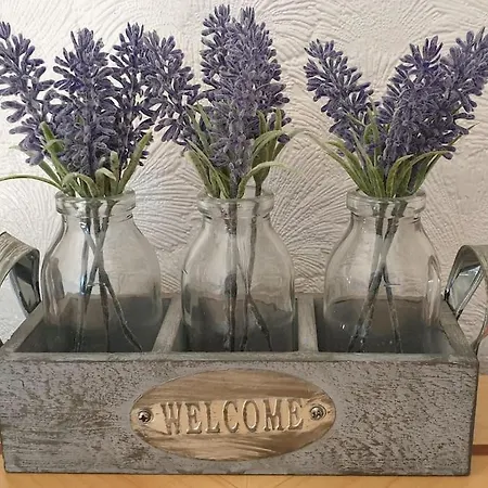 Pinfold On The Edge Of District Casa vacanze Bothel